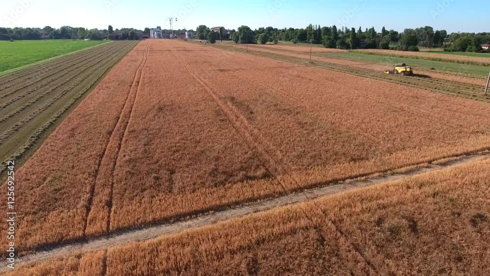 Harvester working in a field. aerial shot. Harvester working in a field. aerial shot.