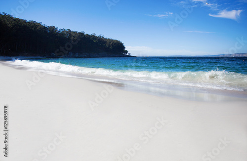 wild beach in summer