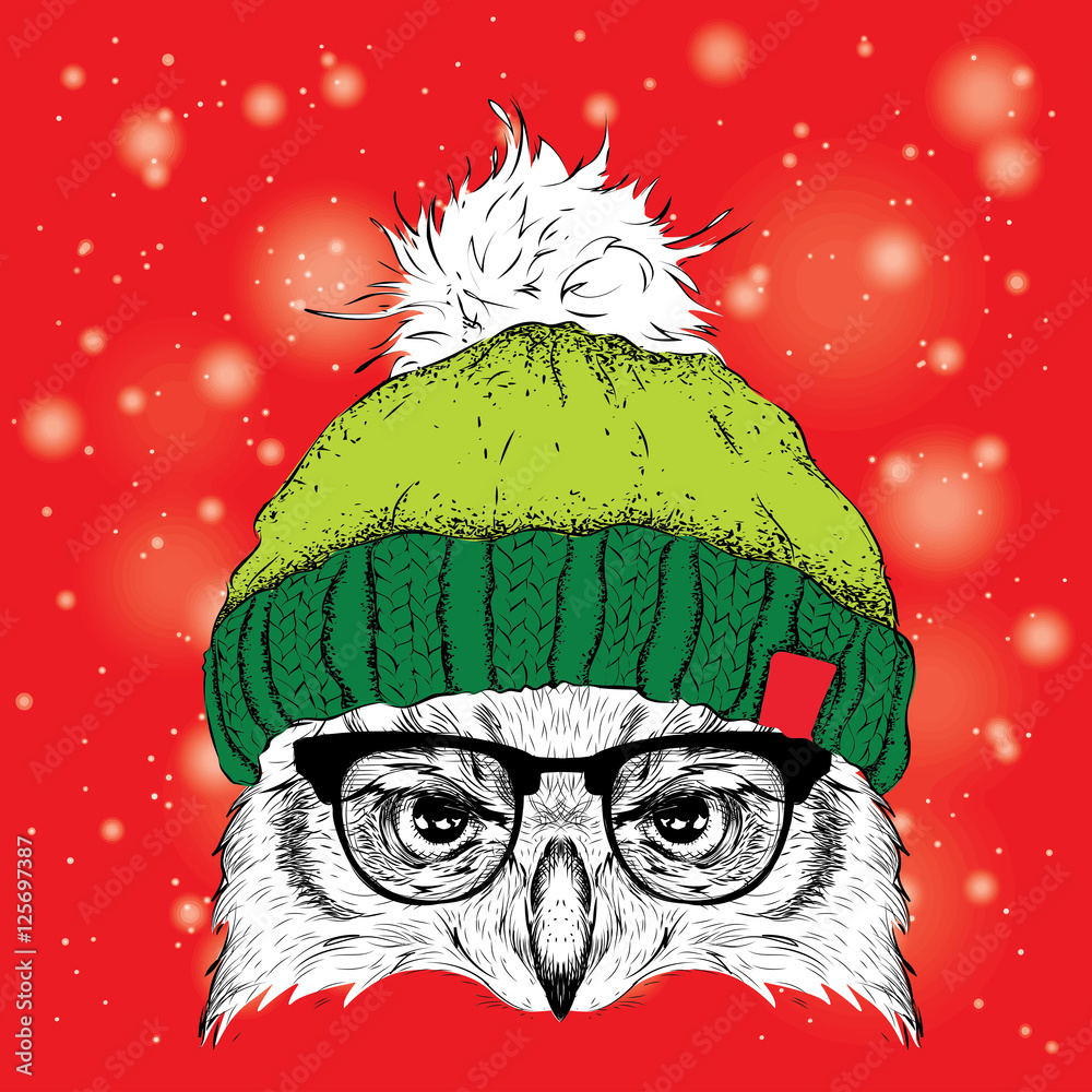 The christmas poster with the image owl portrait in winter hat. Vector illustration.