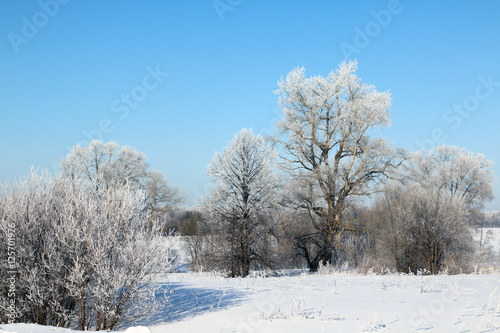 Tree and snow in a winter day © keleny