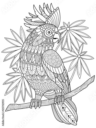 Cockatoo parrot coloring book for adults vector