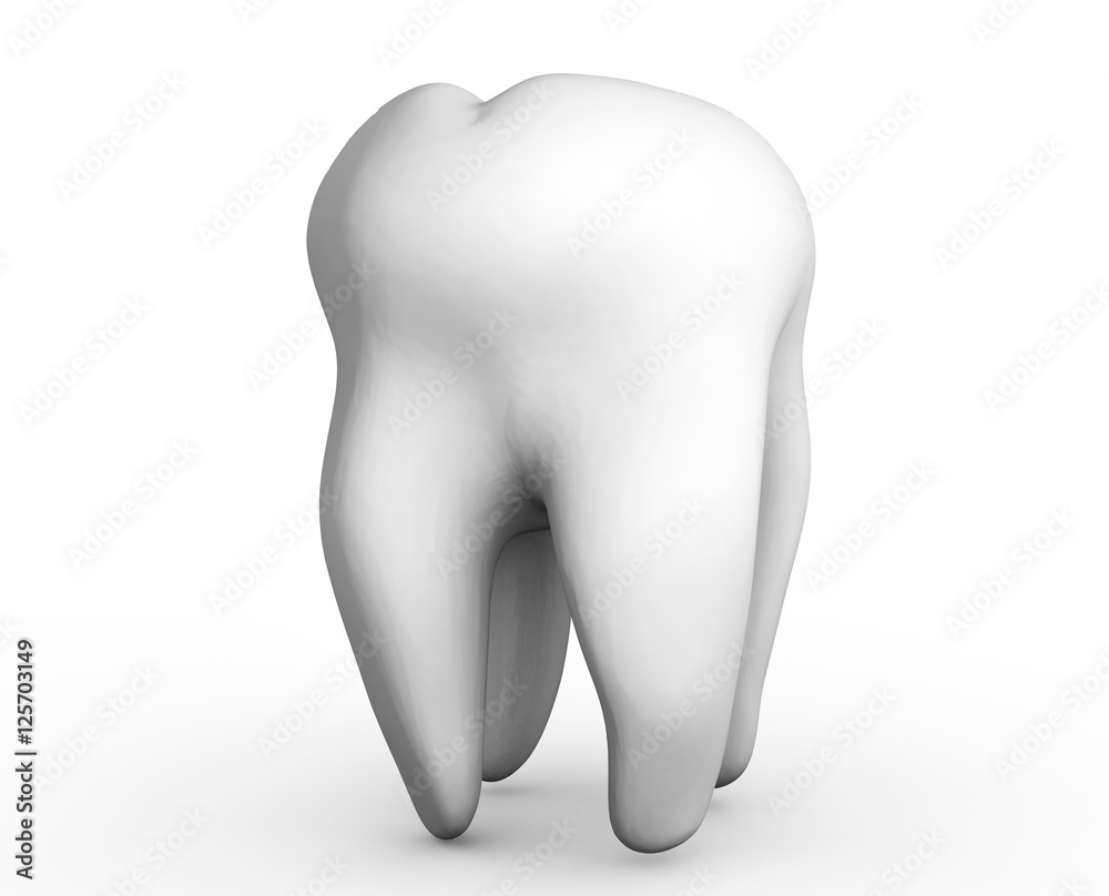 3d rendered tooth isolated on white background 3d rendered tooth isolated on white background