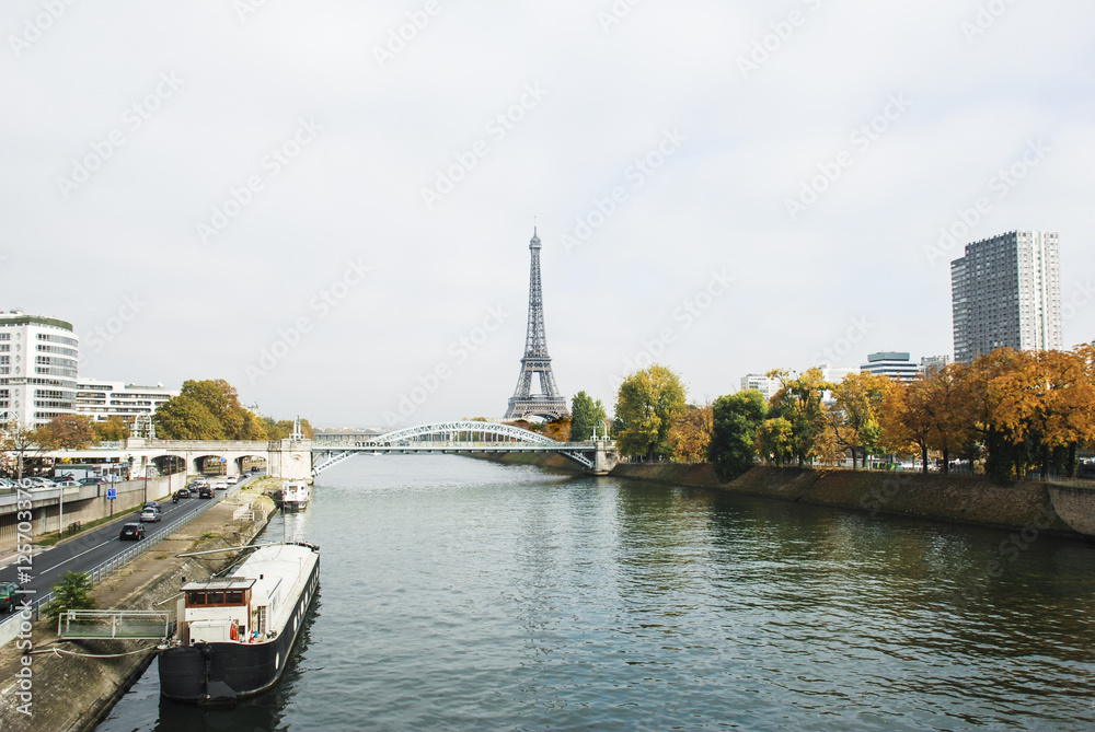Fototapeta premium River Seine Paris