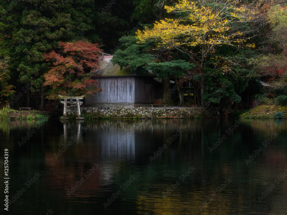torii gates in autumn season at Kirinko Lake Yufuin,Japan torii gates in autumn season at Kirinko Lake Yufuin,Japan