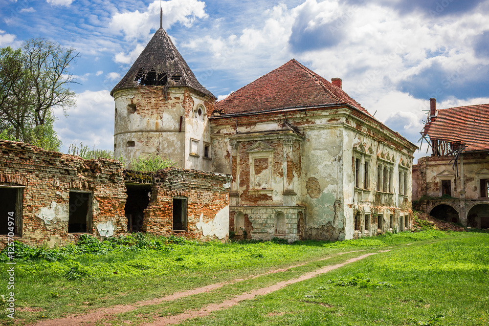 Pomoriany Castle, a ruined castle in the village of Pomoriany, U