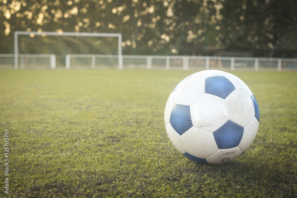 Fototapeta premium Soccer Fussball