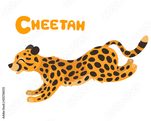 Vector letter c - cheetah for children zoo alphabet illustration cute running animal isolated on white background