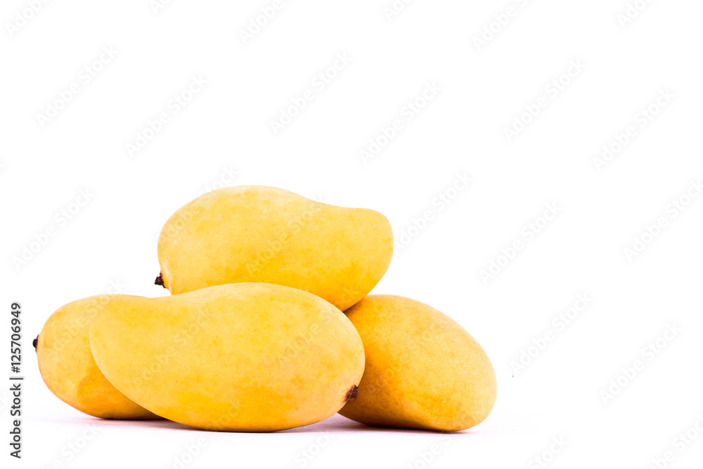 yellow ripe mangos have the sweet taste on white background healthy fruit food isolated
