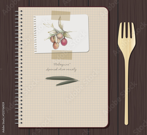 Recipes notebook and olives hand drawn: "Hojiblanca" Spanish olive variety