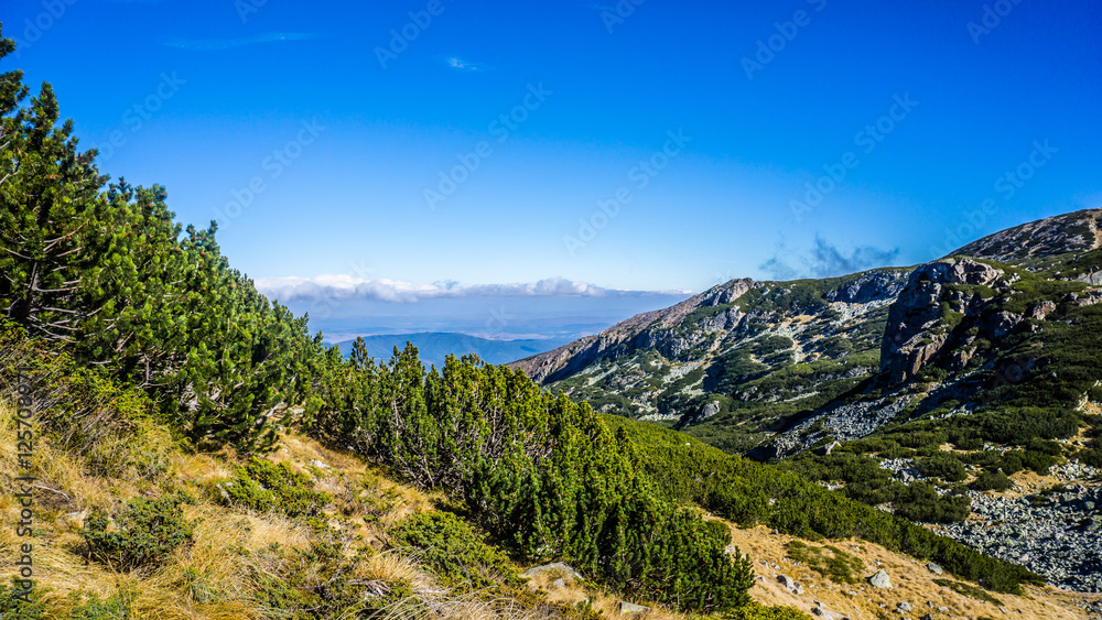 Beautiful Panorama View In the Mountain