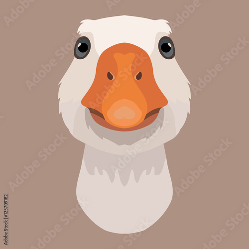 Vector goose face farm animal zoo icon head portrait