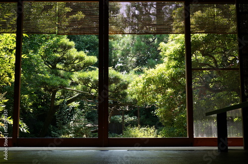 京町家夏模様 photo