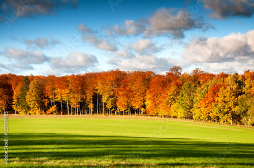 Fototapeta Naklejka Na Ścianę i Meble -  Beautiful autumn landscape in the countryside