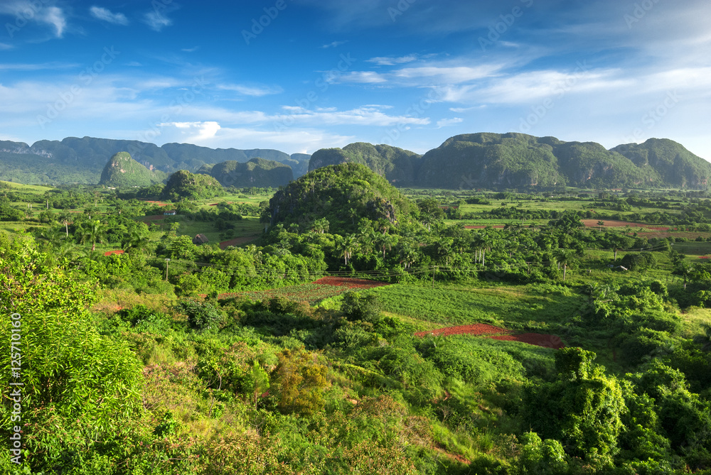 landscape of valley of Vinales,Cuba