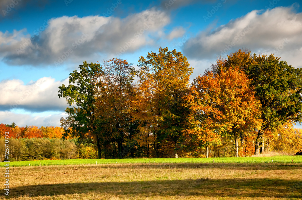 Beautiful autumn landscape in the countryside Beautiful autumn landscape in the countryside