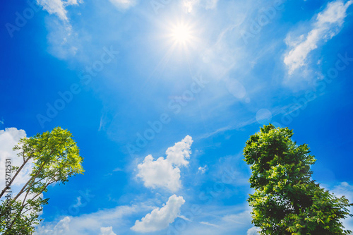 Natural sun flare with blue sky, white clouds and green leaves © bixpicture