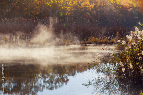 Fantastic foggy river with fresh green grass in the sunlight.