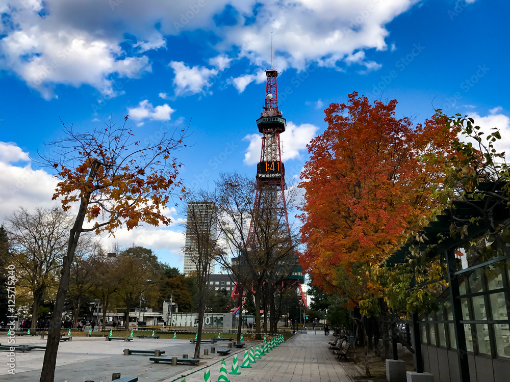 Obraz premium sapporo JAPAN
