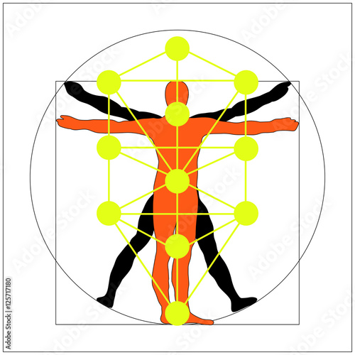 The Kabbalah Tree of Life and Leonardo da Vinci vitruvian man vector icon symbol design. Illustration isolated on white background. Leonardo da Vinci vitruvian man simplified sign. 