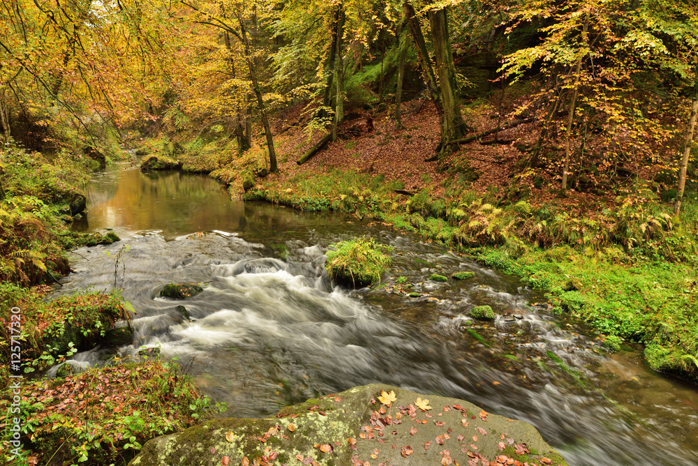 Beautiful autumn landscape of Czech Switzerland at the river