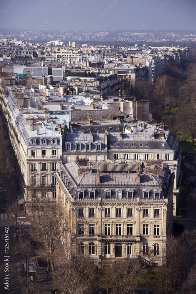 Paris from Arc de Triumph