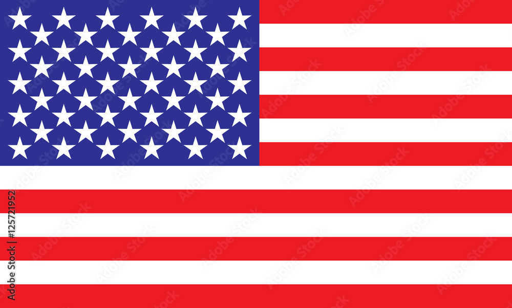 Fototapeta premium USA vector flag