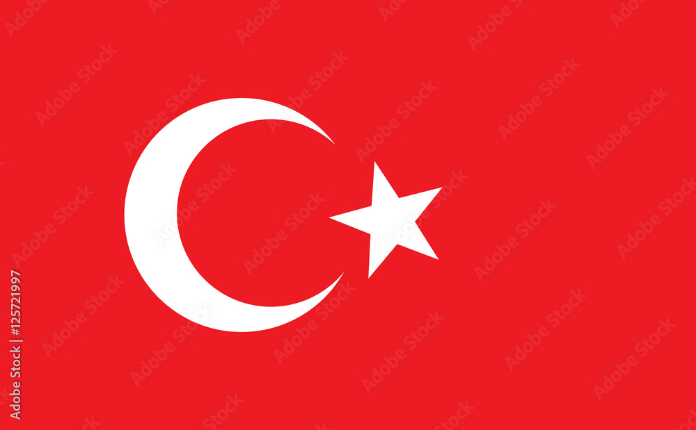Obraz premium Turkey vector flag
