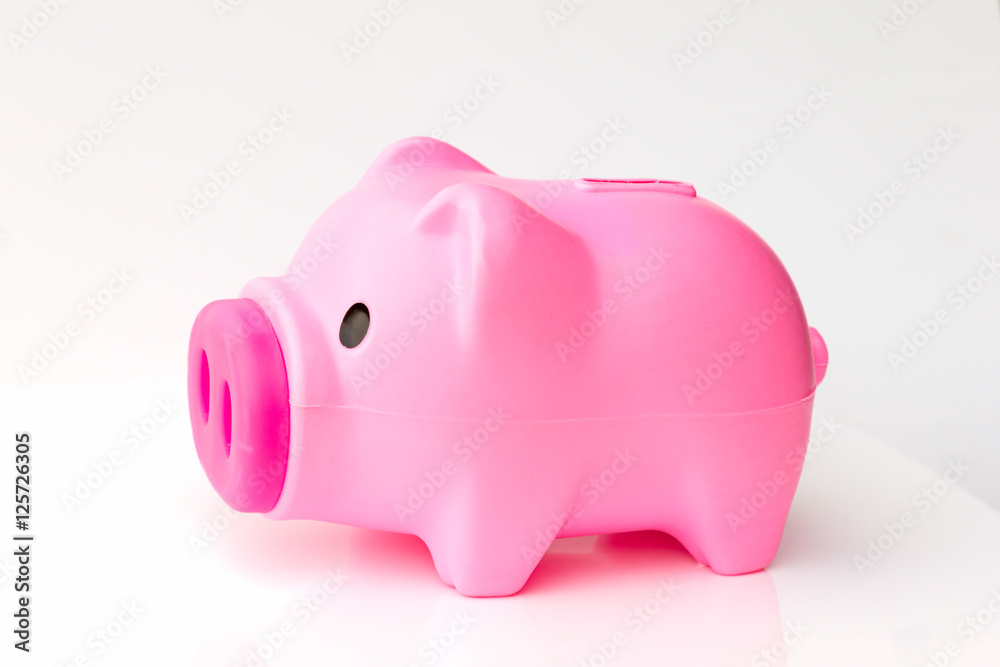 The pink piggybank The pink piggybank