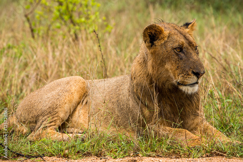 Afrika Africa National Park