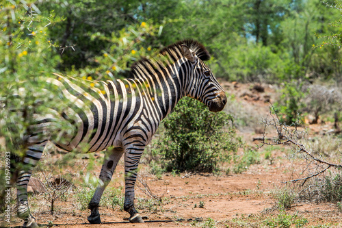 Afrika Africa National Park