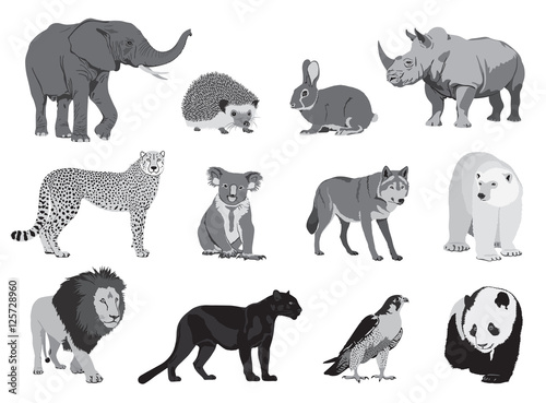 various wild animals on a white background