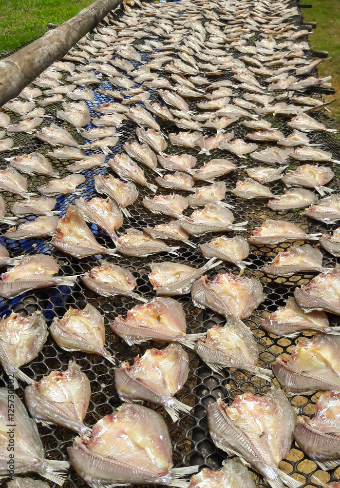 Fish drying in the sun Fish drying in the sun