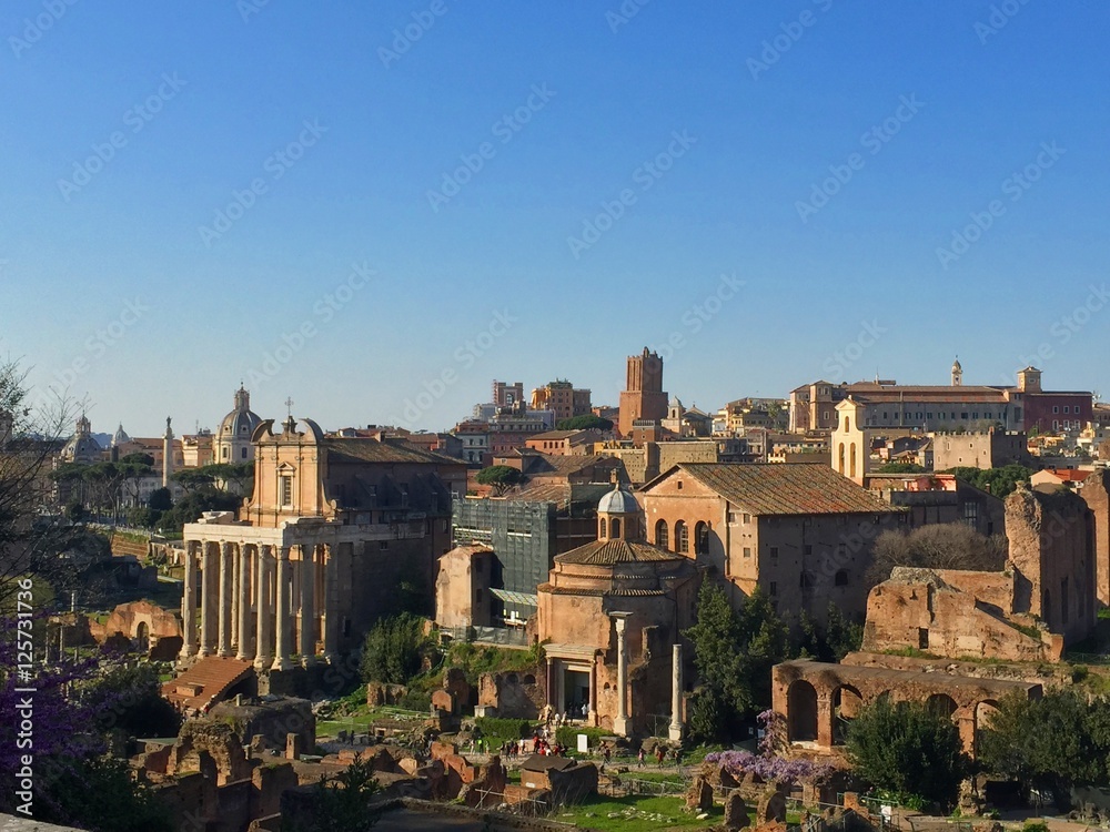 Roman forum ancient ruins aerial view