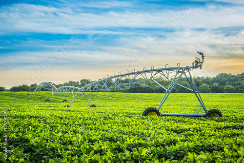Tableau sur toile Irrigation System at Sunset