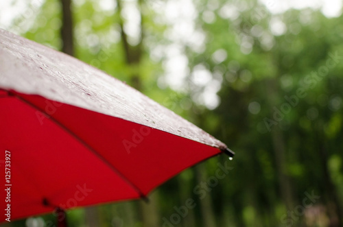 View to the umbrella under the rain