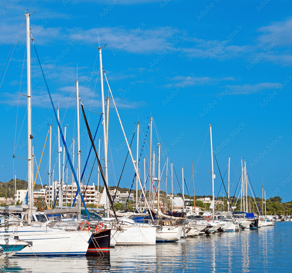 Obraz premium Many yachts and boats in the harbor.