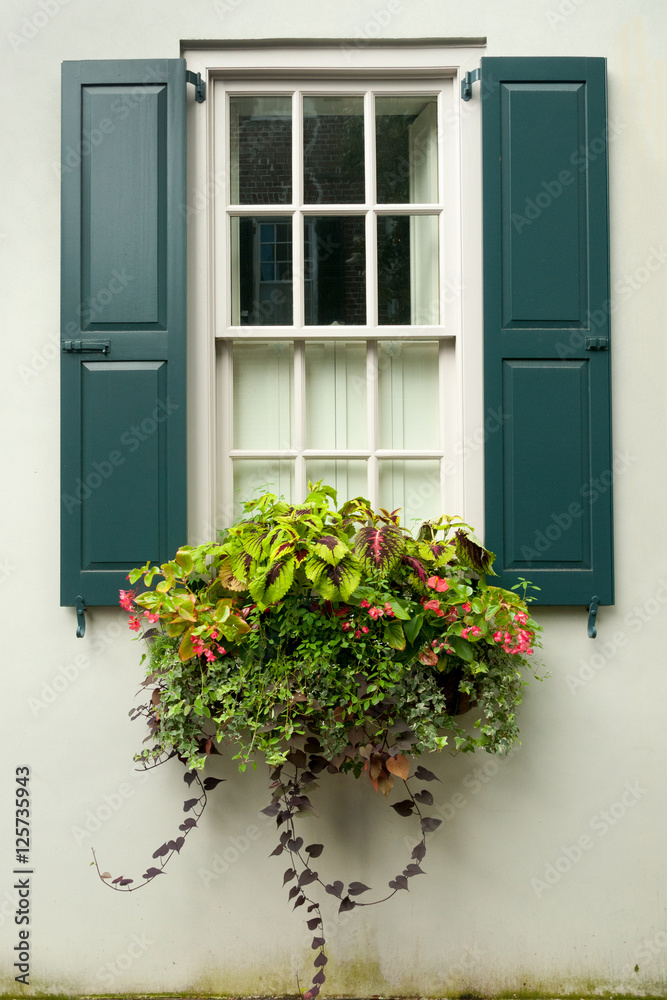 Obraz premium Window on street Charleston, SC