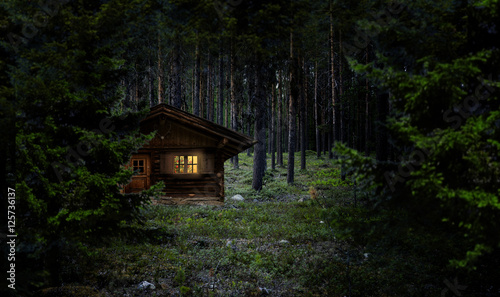 Weihnachtshütte im Wald