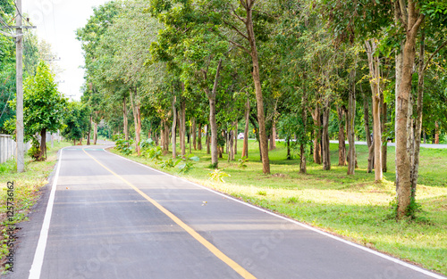 Bike lanes, Bike lane in Korat Thailand area with trees, Bike lane sign on asphalt road.