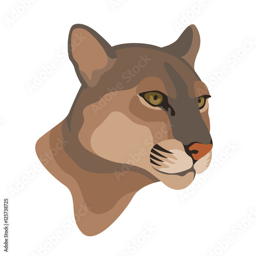 Adult Captive Mountain Lion vector illustration style Flat