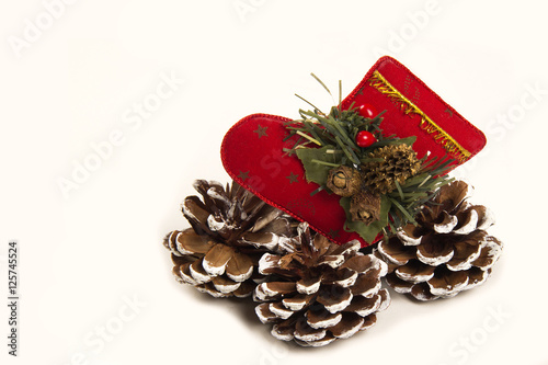 Christmas decoration Santa and pine cone shoe. White background.