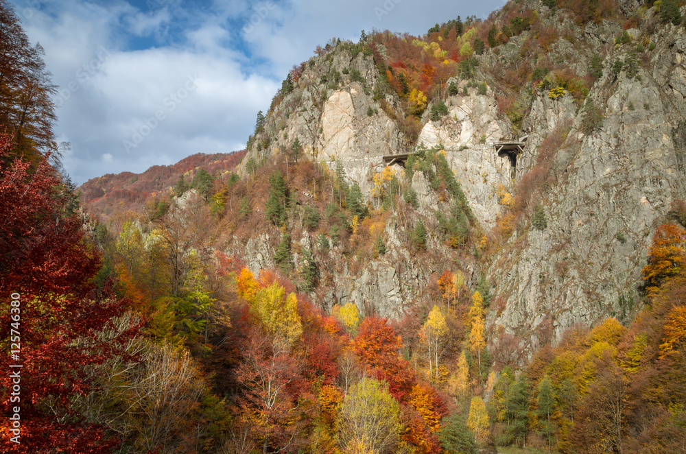 Autumn landscape. Fall in a mountain forest. Transfagarasan road in fall.
