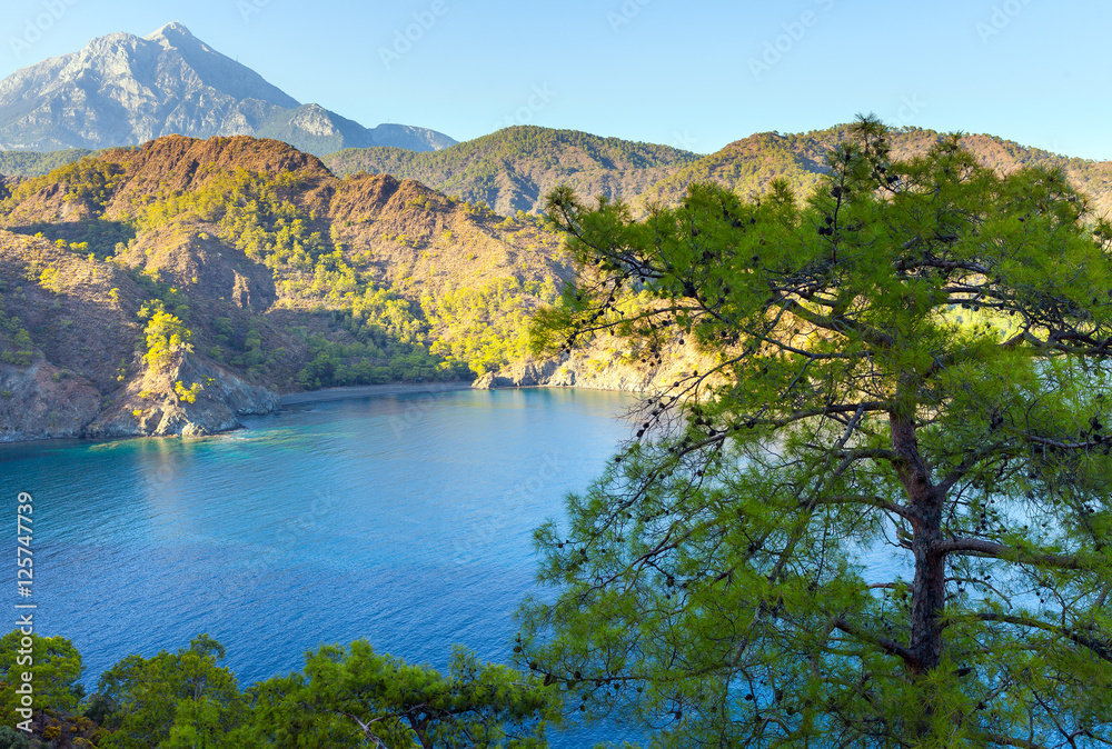 Turkish landscape with Olympos mountain, beach  green forest