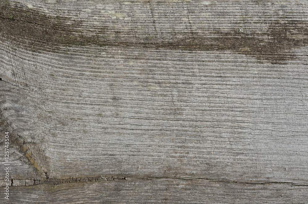 Fototapeta premium old wooden board