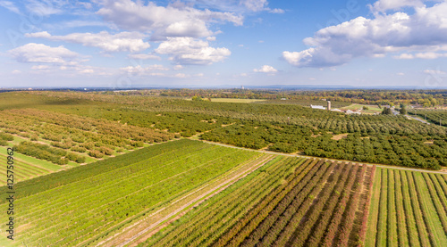 Birds eye view of a farm with orchards
