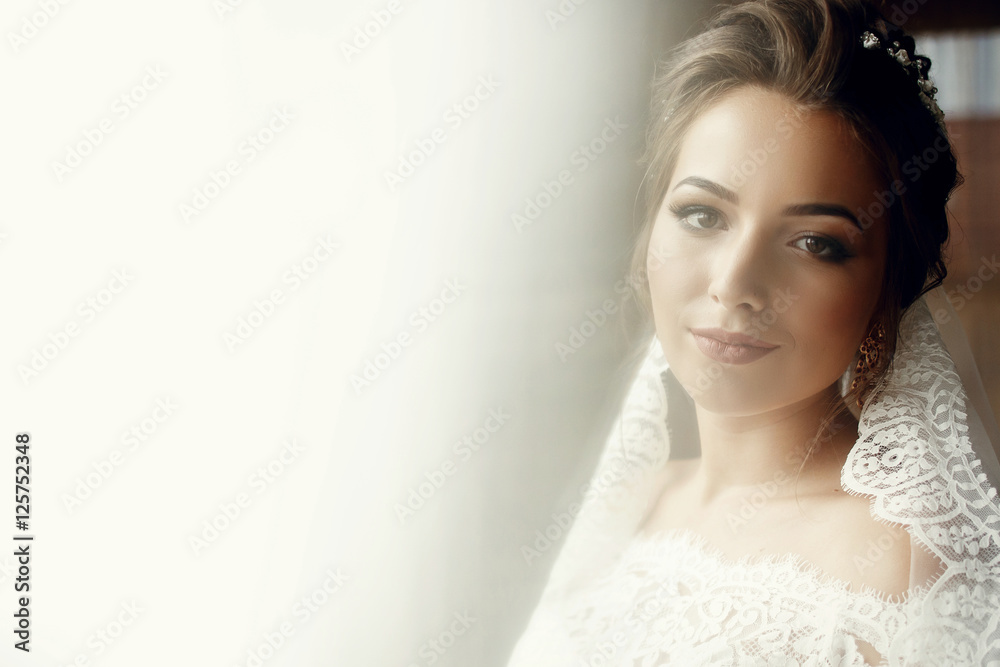 Shiny portrait of beautiful bride standing before the window Shiny portrait of beautiful bride standing before the window