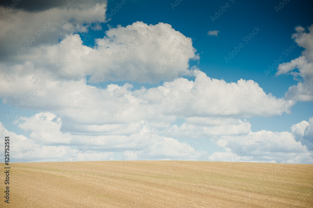 Agricultural field in the summer season. for growing crops Agricultural field in the summer season. for growing crops