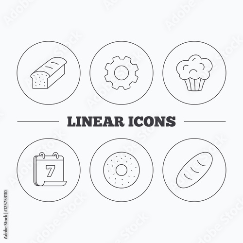 Muffin, donut and toast bread icons. Fresh bread linear signs. Flat cogwheel and calendar symbols. Linear icons in circle buttons. Vector