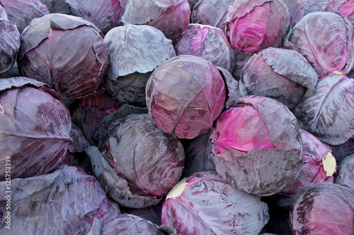 Red cabbage on the market in Bulgaria
