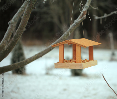 Кормушка для птиц из фанеры висит на ветке дерева в зимний день.